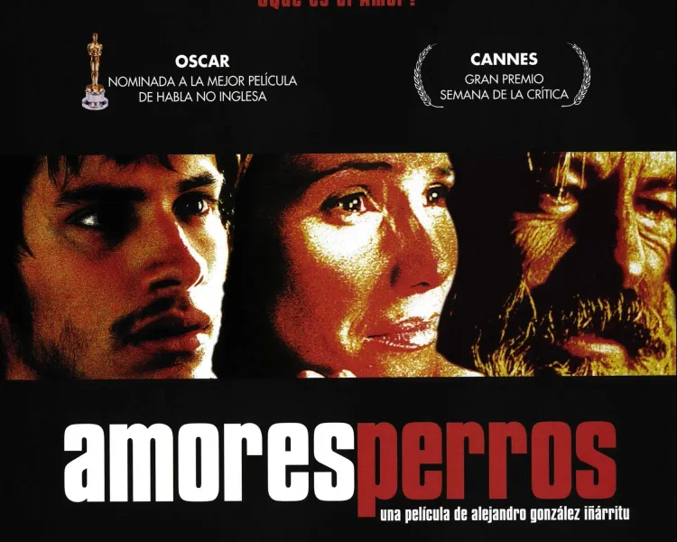 portada amores perros